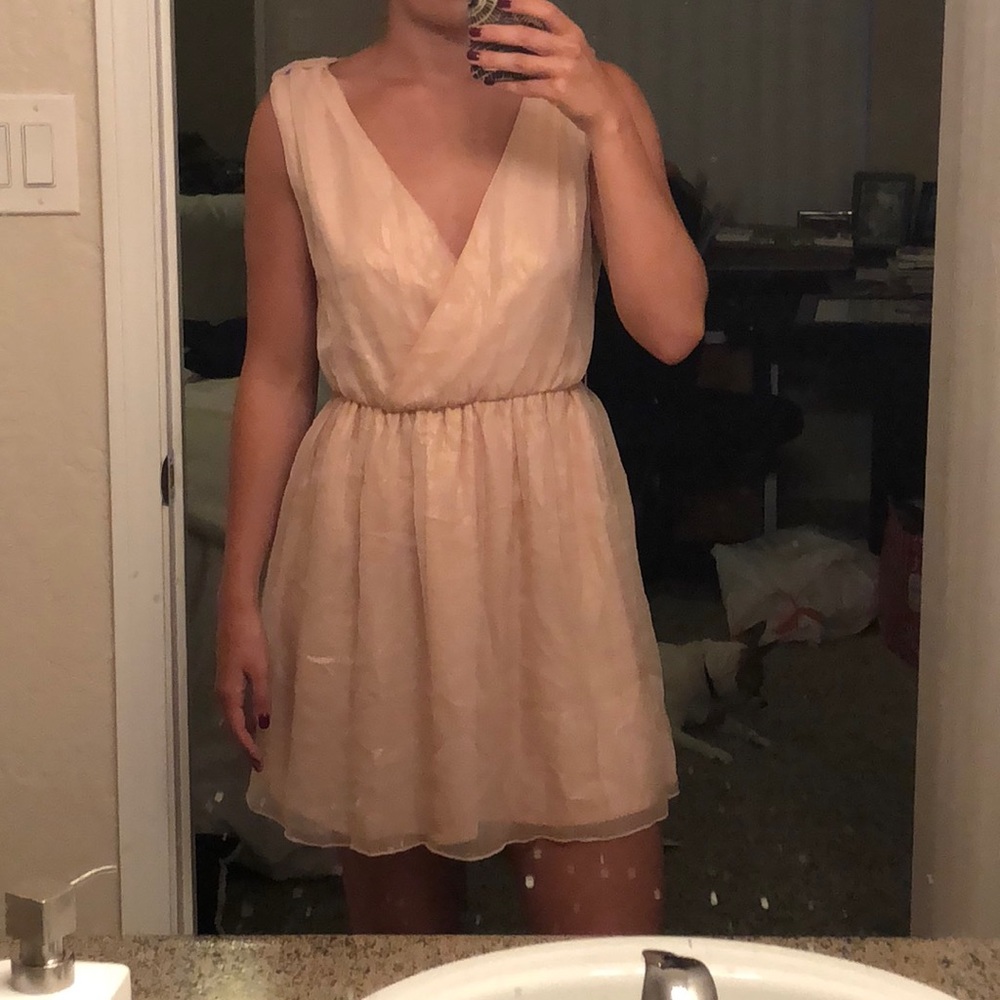 Shimmery Blush dress